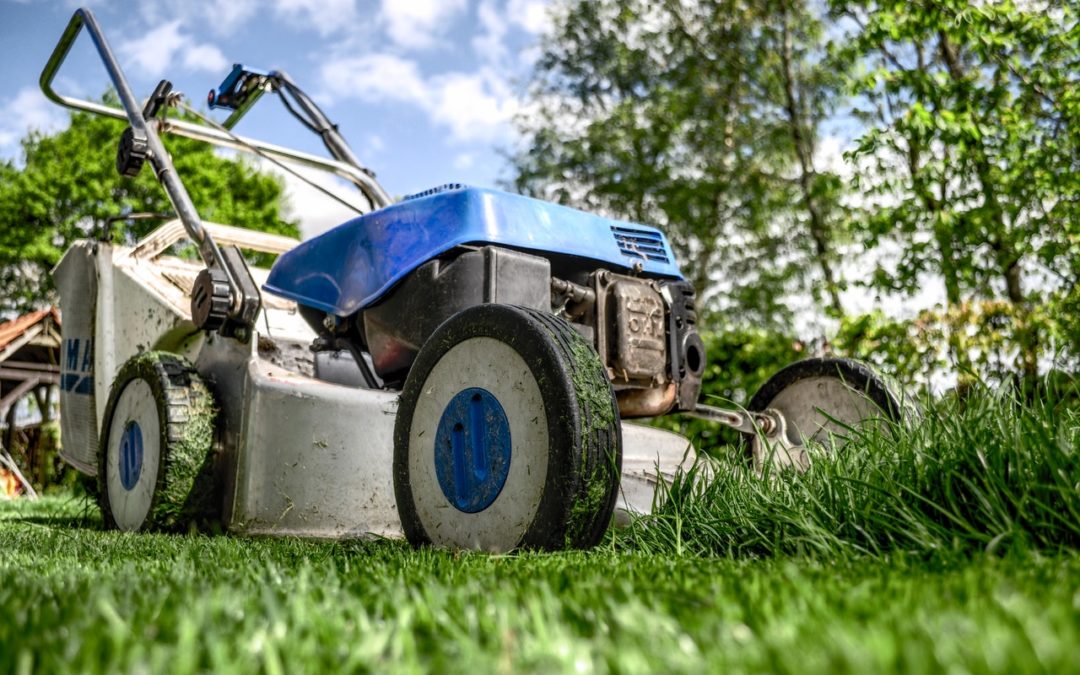 A Beginner’s Guide to Lawnmowers
