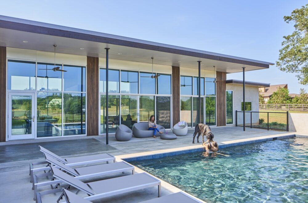 woman in backyard with dog and kid in the pool