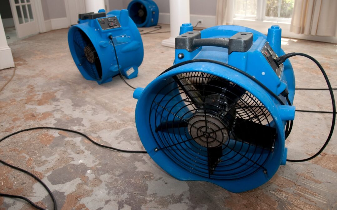 After the Flood: What Chapel Hill Homeowners Need to Know