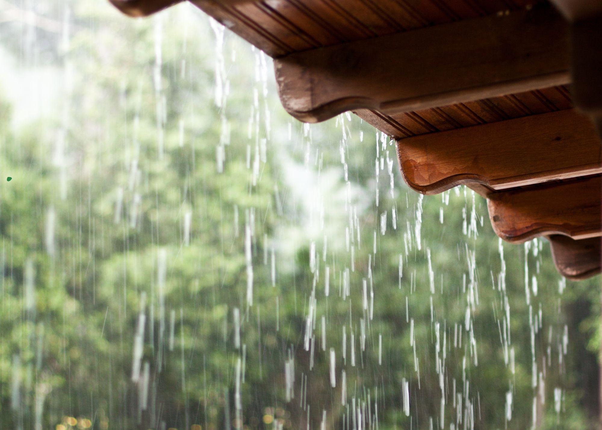 rain 